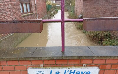 Travaux de recalibrage du cours d’eau « La Lhaye » dans le centre de CELLES